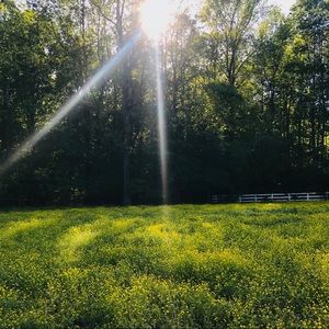 Meet your Posher, Jillian